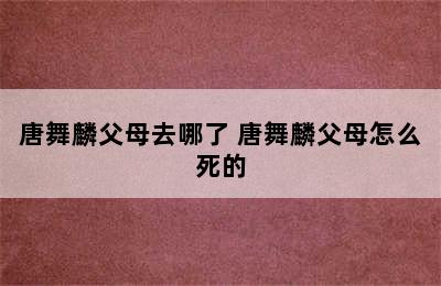 唐舞麟父母去哪了 唐舞麟父母怎么死的